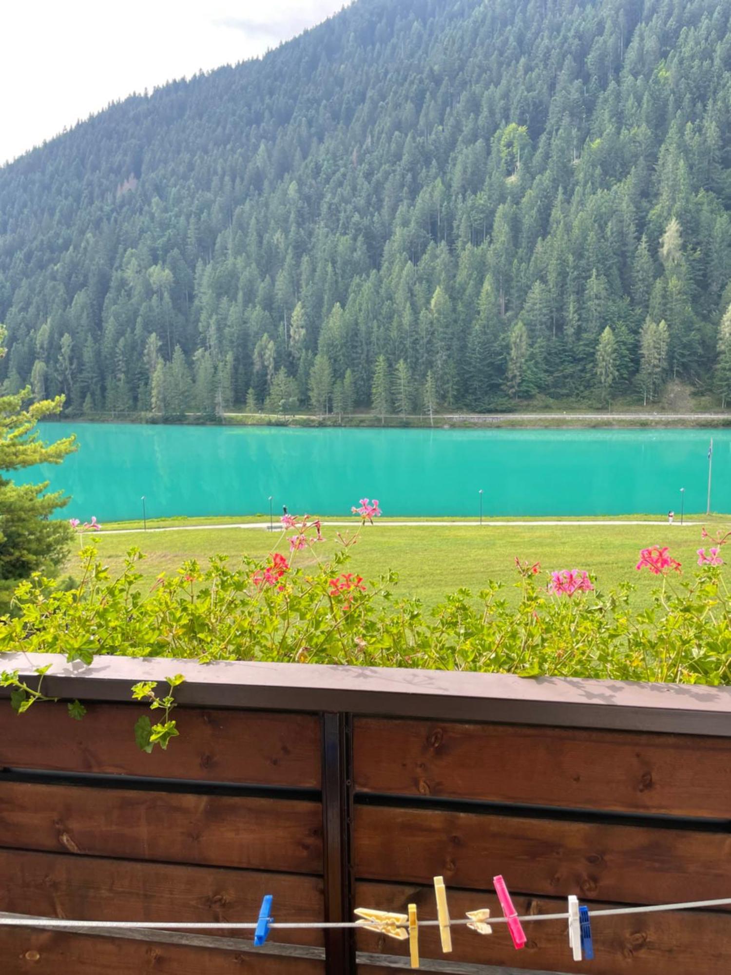 Hotel Panoramic Auronzo di Cadore Exterior photo
